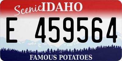 ID license plate E459564