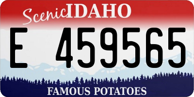 ID license plate E459565
