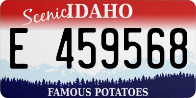 ID license plate E459568