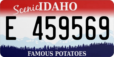 ID license plate E459569