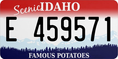 ID license plate E459571