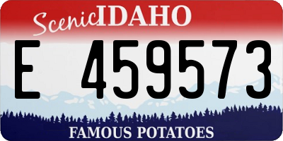 ID license plate E459573