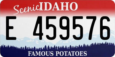 ID license plate E459576