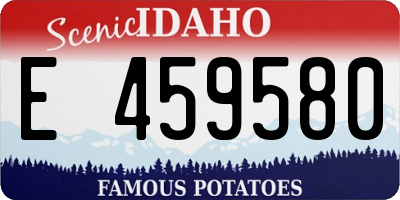 ID license plate E459580