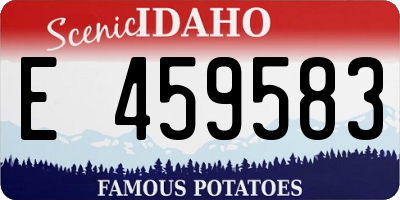 ID license plate E459583