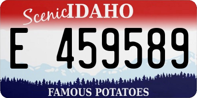 ID license plate E459589