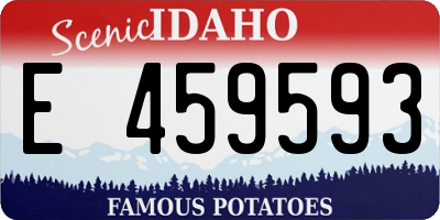 ID license plate E459593