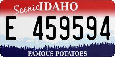 ID license plate E459594