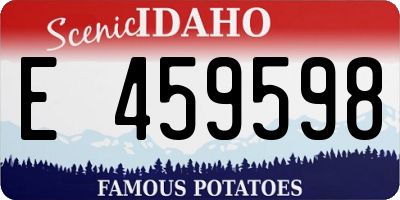 ID license plate E459598