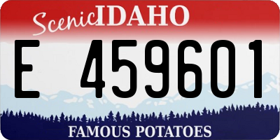 ID license plate E459601
