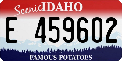 ID license plate E459602