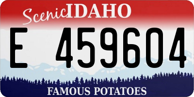 ID license plate E459604