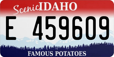 ID license plate E459609