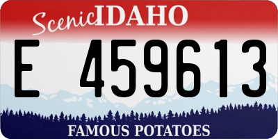 ID license plate E459613