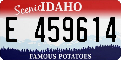 ID license plate E459614