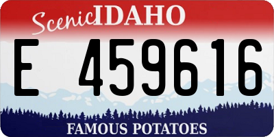 ID license plate E459616