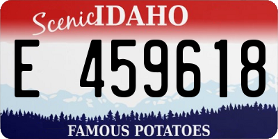 ID license plate E459618