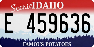 ID license plate E459636
