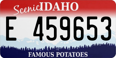 ID license plate E459653