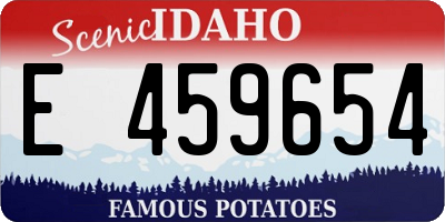 ID license plate E459654