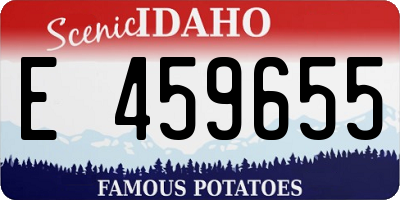 ID license plate E459655