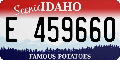 ID license plate E459660