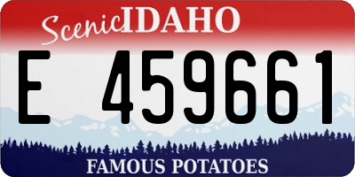 ID license plate E459661