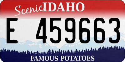 ID license plate E459663