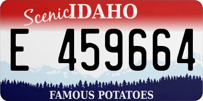 ID license plate E459664