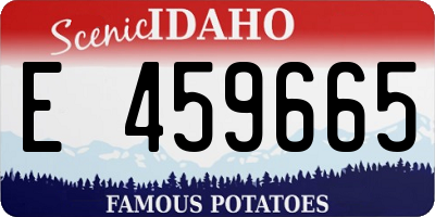 ID license plate E459665