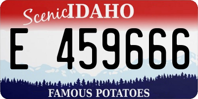 ID license plate E459666