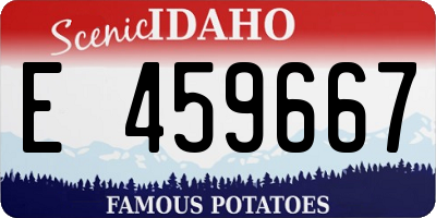 ID license plate E459667