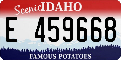 ID license plate E459668