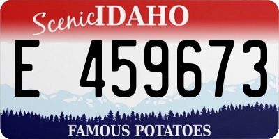 ID license plate E459673