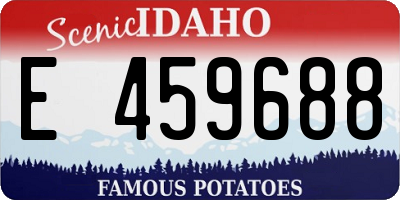 ID license plate E459688