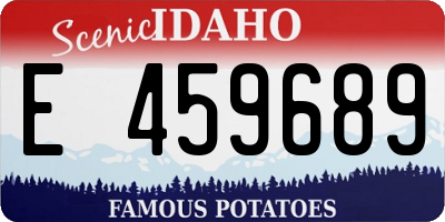 ID license plate E459689