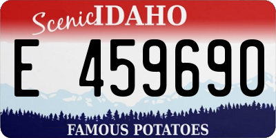 ID license plate E459690