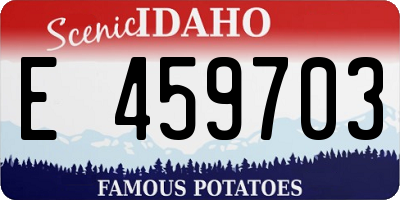 ID license plate E459703