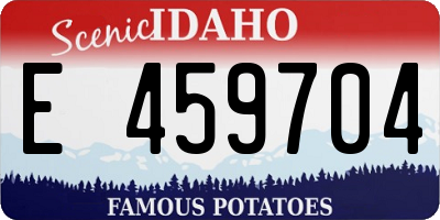 ID license plate E459704