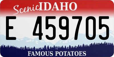 ID license plate E459705