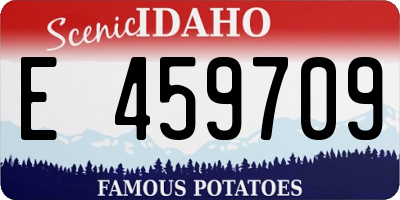 ID license plate E459709