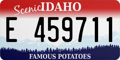 ID license plate E459711