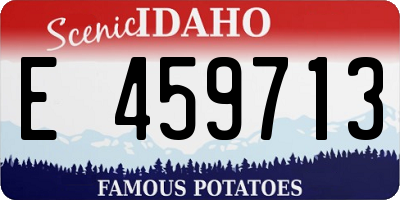 ID license plate E459713