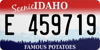 ID license plate E459719