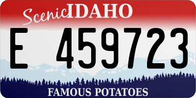 ID license plate E459723