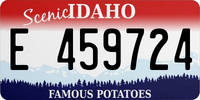ID license plate E459724