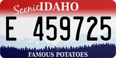 ID license plate E459725
