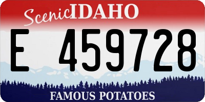 ID license plate E459728