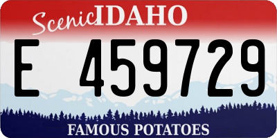 ID license plate E459729