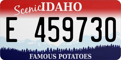 ID license plate E459730